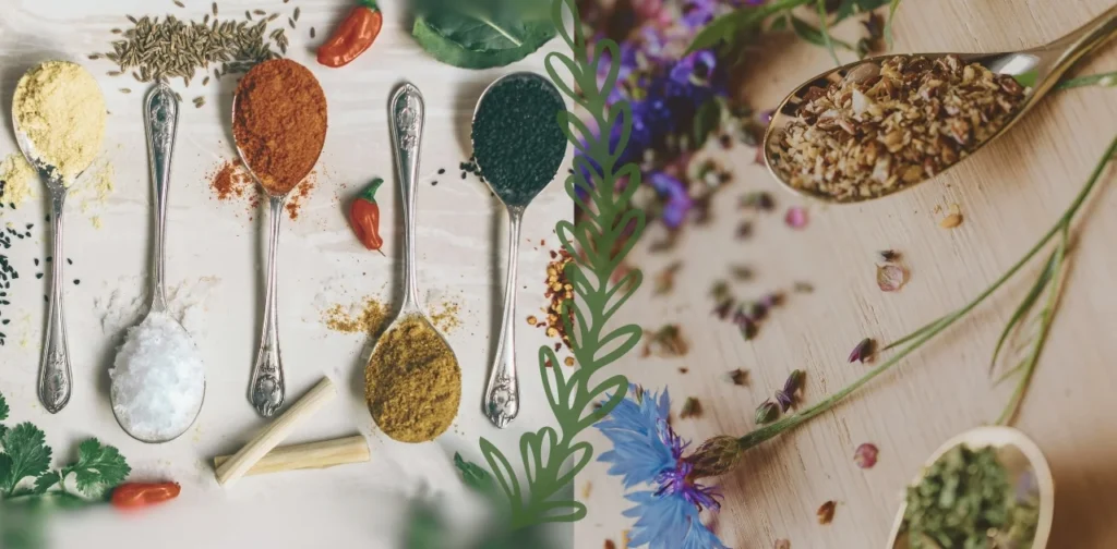 Herbs and Spices Different Herbs and Spices