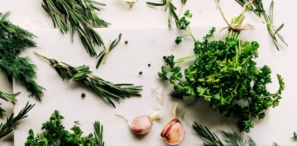 Image of Fresh Herb Image of Fresh Herb